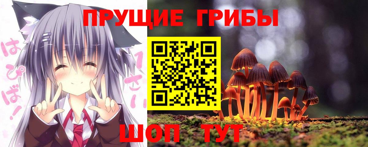 Галлюциногенные грибы Psilocybine cubensis Иваново