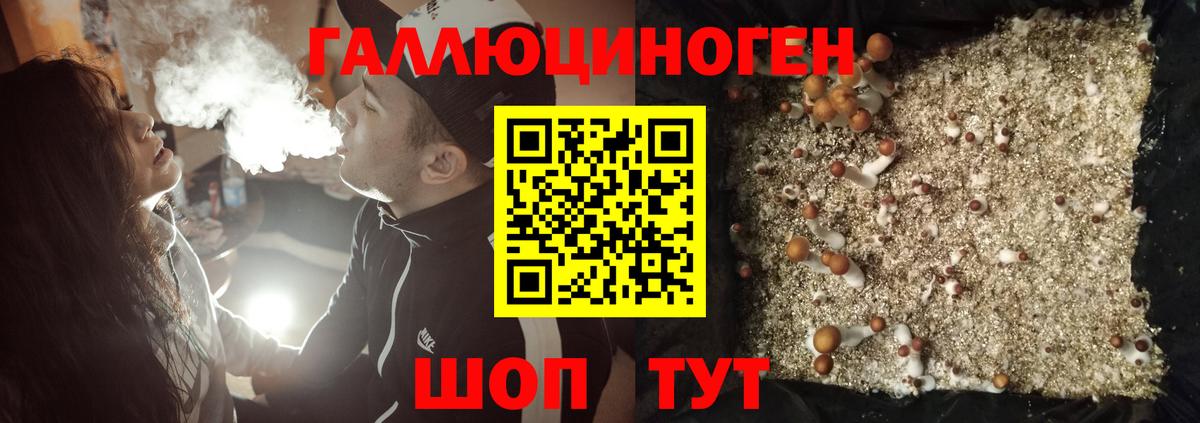 Иваново  купить  сайты  Вход с VPN  Галлюциногенные грибы Magic Shrooms 